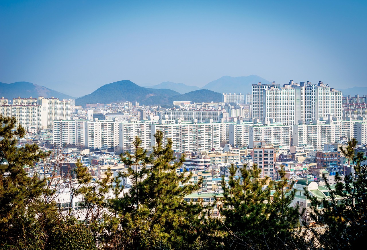 最新月浦规划，塑造未来城市新面貌的蓝图